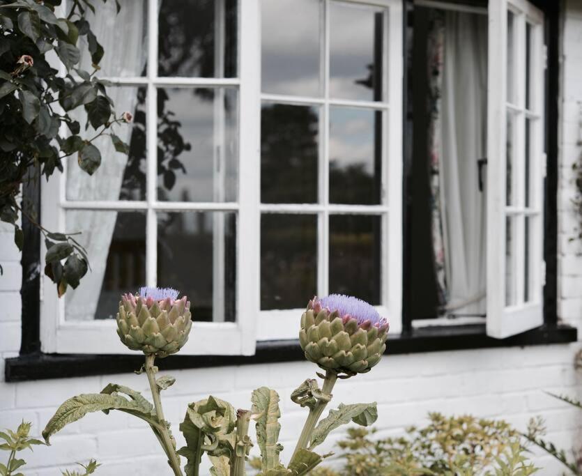 Highfield Lodge Тринг Екстериор снимка